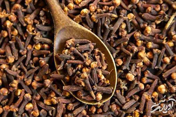میخک برای افزایش سیستم ایمنی بدن میخک